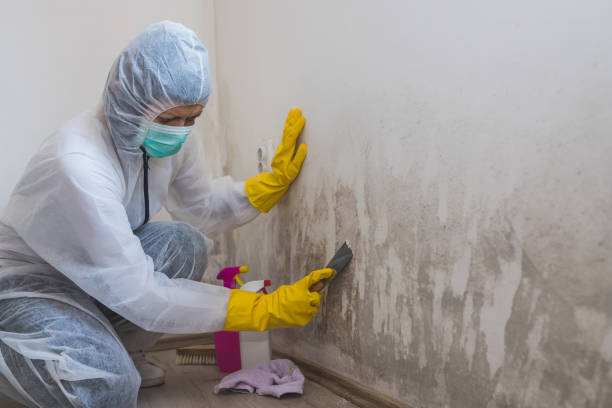 Crawl Space Mold Removal in Hudson Falls, NY
